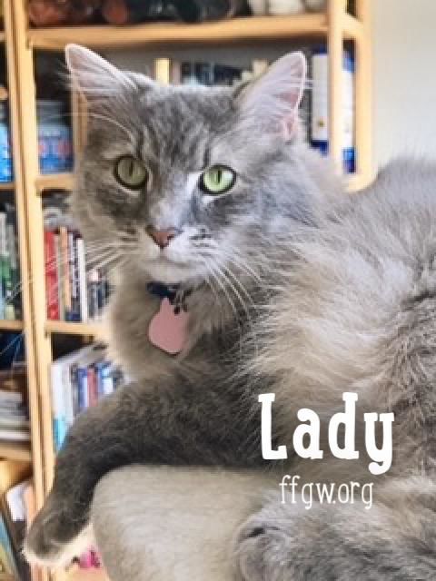 1) Lady.jpg